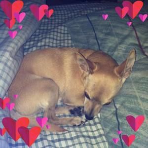 Meet your Posher, Melissa